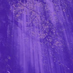 Music for Creative Daydreams - Working from Home