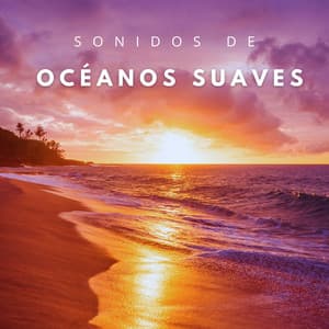 Sonidos De Océanos Suaves - Viento y Océanos