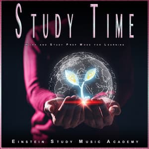 Study Time: Work and Study Prep Mode for Learning - Harper Zen