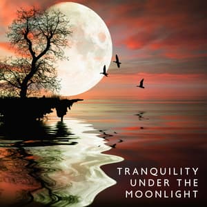 Tranquility Under the Moonlight: Soothing Piano Solos for Peaceful Nights - Janet Sleepy