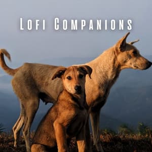 Lofi Companions: Therapeutic Dog Soundscapes - Lofi City Colours