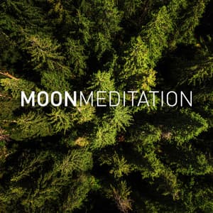 Ethereal Forest - Moon Nature Sounds