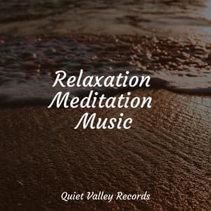 Relaxation Meditation Music - Regen zum Schlafen