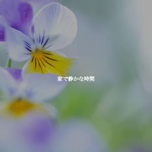 家で静かな時間 - Weekend Jazz Environment