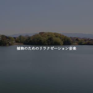 植物のためのリラクゼーション音楽 - Luxury Hotel Music