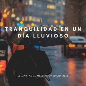 Tranquilidad En Un Día Lluvioso: Serenatas De Meditación Binaurales - Reiki definitivo