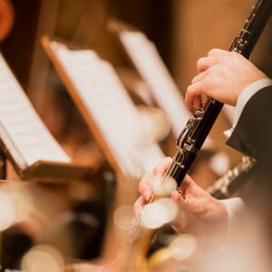 Serene Orchestra: Music for Yoga - Valborg Shamsuddin