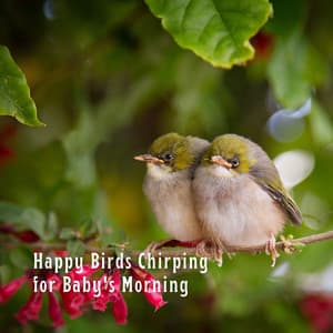 Happy Birds Chirping for Baby's Morning - Swedish Forest Birds
