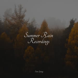 Summer Rain Recordings - Rain