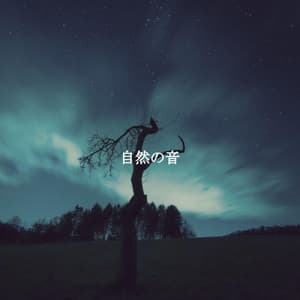 自然の音 - Coffee Table Jazz
