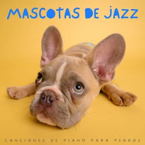 Mascotas De Jazz: Canciones De Piano Para Perros - Relajante Bossa Nova Chill Out