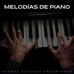 Melodías De Piano: Sueños Gatunos Encantados - Academia de Música Relajante de Piano Jazz