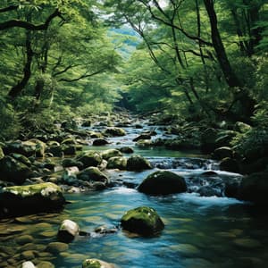 Serenata Del Río: La Sinfonía De La Naturaleza - VIDA ASMR