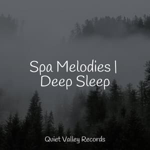 Spa Melodies | Deep Sleep - Wave Sound Group