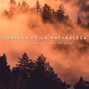 Sonidos De La Naturaleza: Sonidos Tónicos Para El Alma - Naturaleza Sonidos