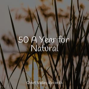 50 A Year for Natural - Rain Sounds Factory STHLM