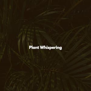 Plant Whispering - Calm Monday Morning Music