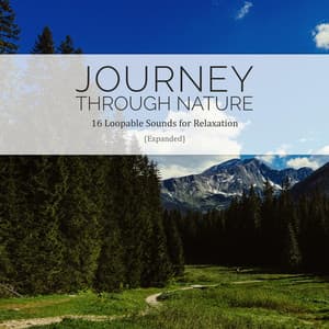 Journey Through Nature : 16 Loopable Sounds for Relaxation - Path to the Wild