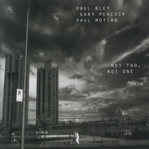 Not Two, Not One - Paul Bley