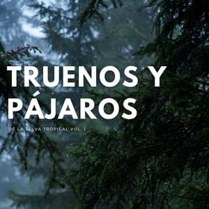 Truenos Y Pájaros De La Selva Tropical Vol. 1 - Phall del trueno