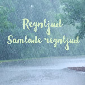 Samlade regnljud - Regnljud