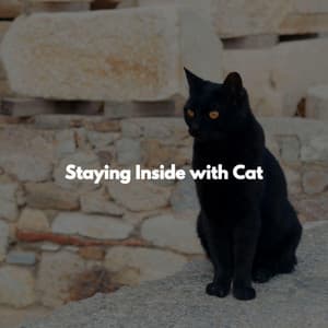 Staying Inside with Cat - Easy Listening Playlisted Background Music