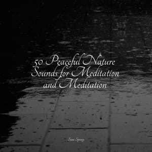 50 Peaceful Nature Sounds for Meditation and Meditation - Rain Sounds Rain