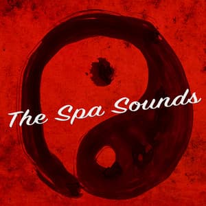 The Spa Sounds - Spa