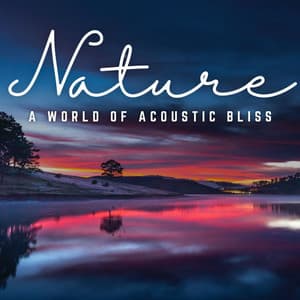 Harmonic Echoes: A World of Acoustic Bliss - Dreamy Thoughts