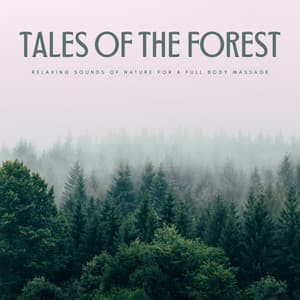 Tales Of The Forest: Relaxing Sounds Of Nature For A Full Body Massage - Spa Music Lounge