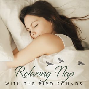 Relaxing Nap with the Bird Sounds: Drift Away to the World of Bird Trills - Music For Absolute Sleep