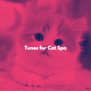 Tunes for Cat Spa - Restaurant Music Playlist Ambiance