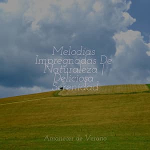Melodías Impregnadas De Naturaleza | Deliciosa Serenidad - Masajes Spas