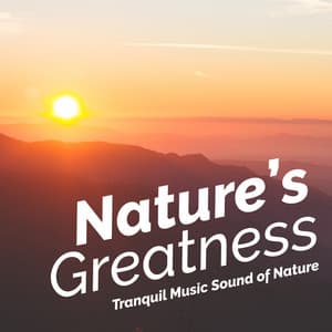 Nature's Greatness - Tranquil Music Sound of Nature