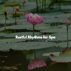 Restful Rhythms for Spa - Massage Music Playlist