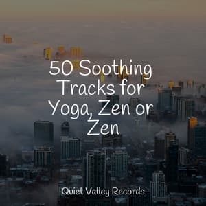 50 Soothing Tracks for Yoga, Zen or Zen - Active Baby Music Workshop
