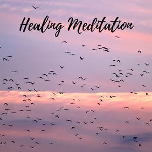 Healing Meditation - Natural Sample Makers