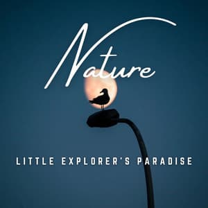 Little Explorer's Paradise: Nature's Wonders - Active Baby Music Workshop