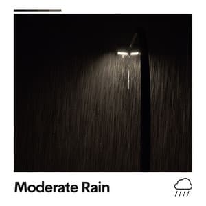 Moderate Rain - Loopable Rain Sounds