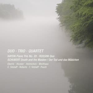 Haydn, Rossini & Schubert: Duo, Trio & Quartet - Veronika Eberle