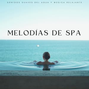 Melodías De Spa: Sonidos Suaves Del Agua Y Música Relajante - Paisajes sonoros de agua