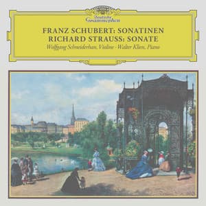 Schubert: Violin Sonata in A Major, D. 574; Fantasia in C Major, D. 934; Rondo in B Minor, D. 895 / R. Strauss: Violin Sonata in E-Flat Major, Op. 18, TrV 151 - Franz Schubert