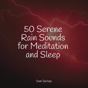 50 Serene Rain Sounds for Meditation and Sleep - Pacific Rim Nature Sounds