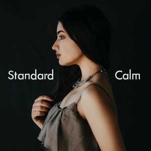 Standard Calm - Chill Out 2017
