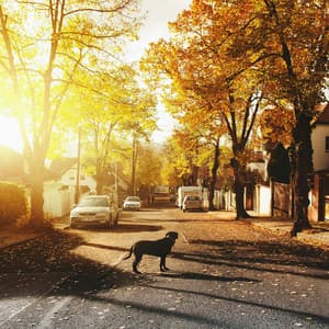 Feliz - Base De Hip Hop