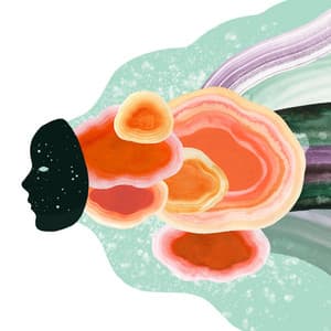 Fortuna - Warner Chappell Production Music