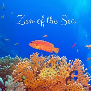 Zen of the Sea - Yoga Sounds
