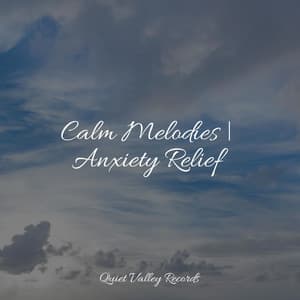 Calm Melodies | Anxiety Relief - Rain and Nature