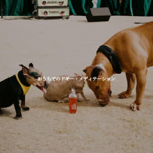 おうちでのドギー・メディテーション - Jazz Classique