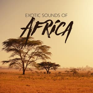 Exotic Sounds of Africa: Ethnic African Music, Tribal & Shamanic Drums - African Music Drums Collection